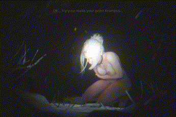 [3D]黎明杀机-赛布尔-兽交 [172.3MB] - 芒果游戏库-芒果游戏库